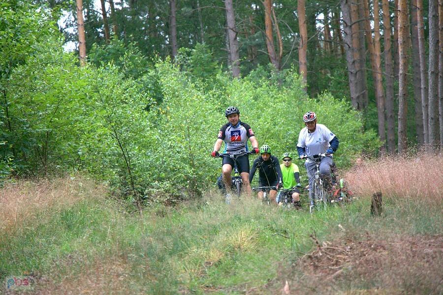 Leśnymi drogami