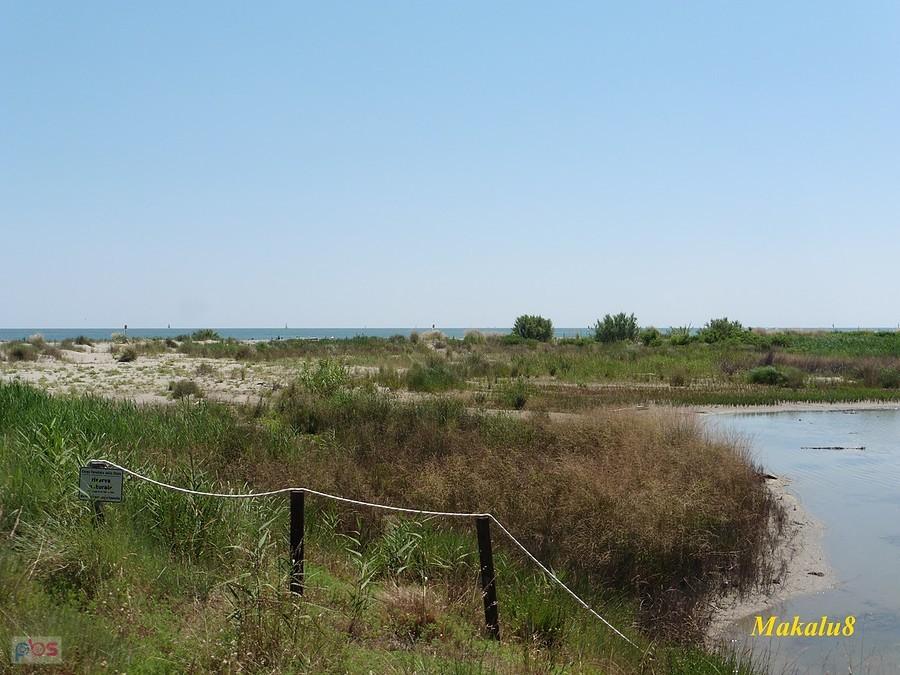 Lido di Spina_wydmy
