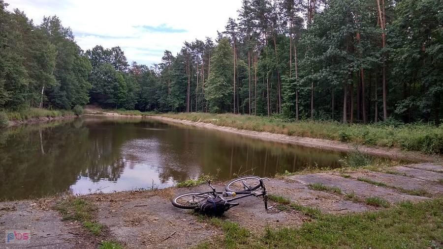 leśny punkt poboru wody