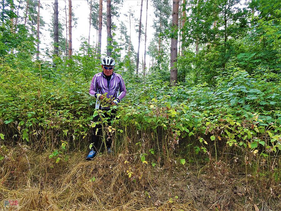Wycieczka rowerowa - Tczew i jego okolice. Dzisiaj pochmurno, wietrznie i deszczowo.