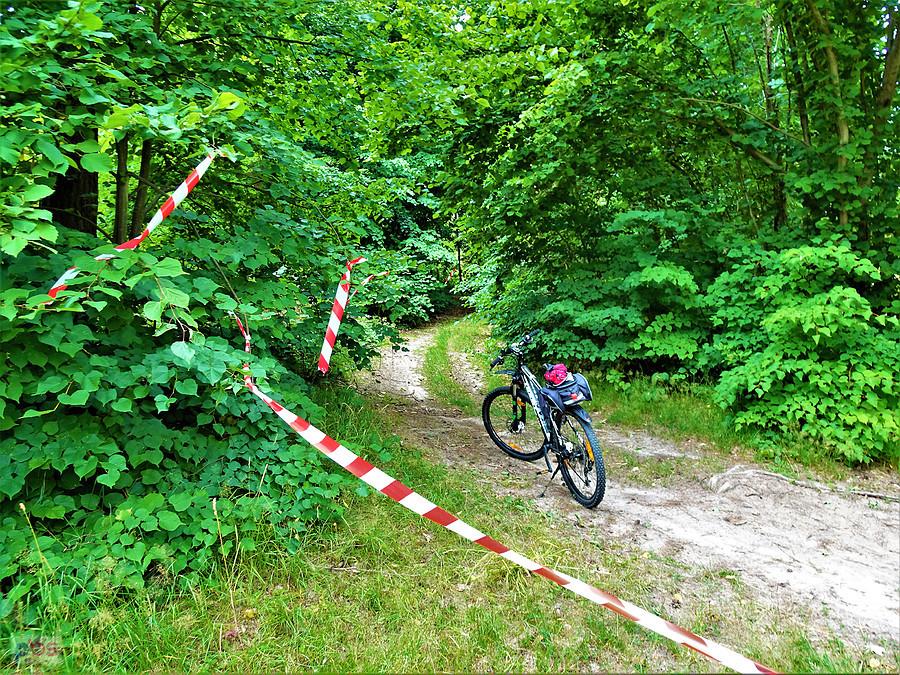 Wycieczka rowerowa - Tczew i jego okolice. Dzisiaj pochmurno, wietrznie i deszczowo.