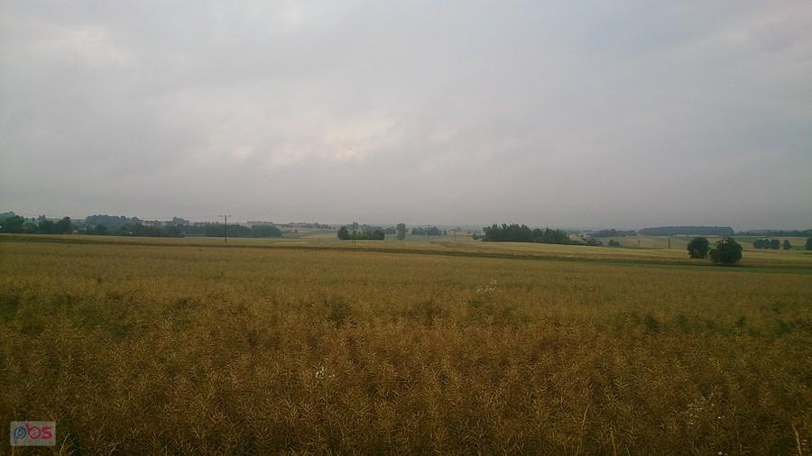 Pochmurno nad polami