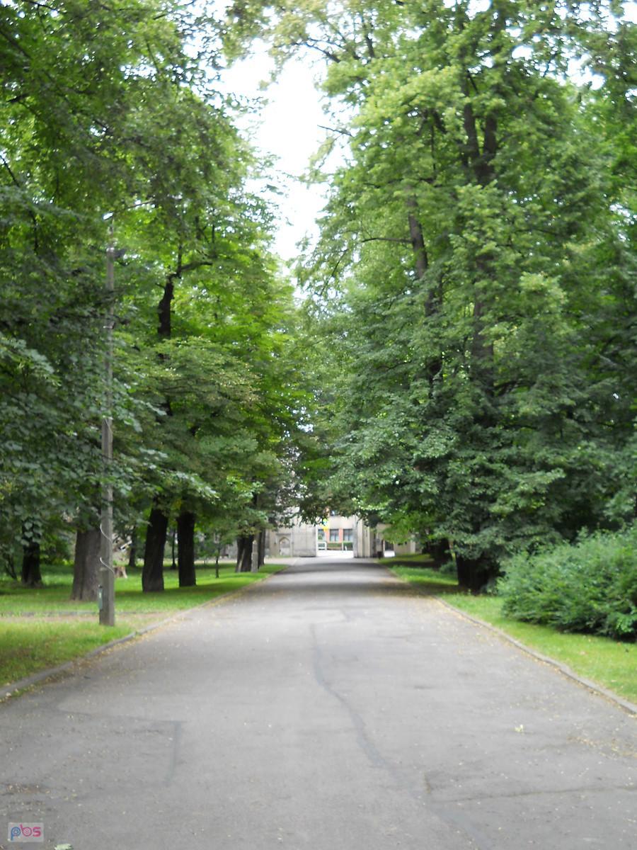 Widok na bramę wjazdową