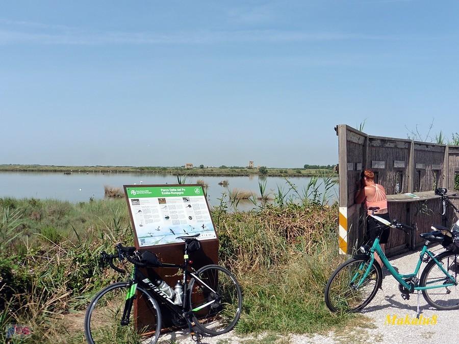 Punkt obserwacyjny-okolice Comacchio