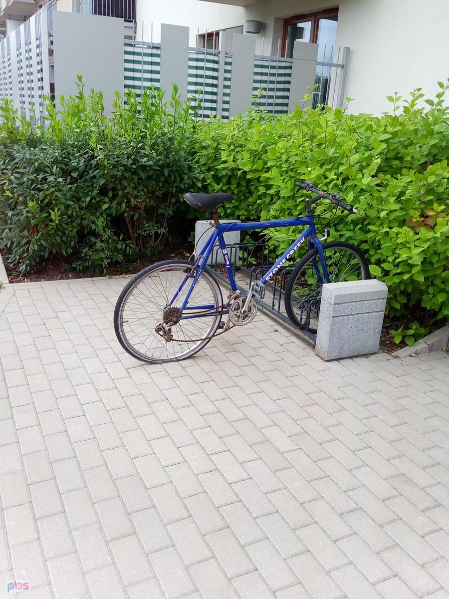 Zapomniany rower wygląda coraz biedniej