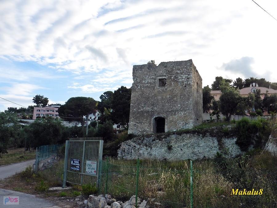 Torre Silvana