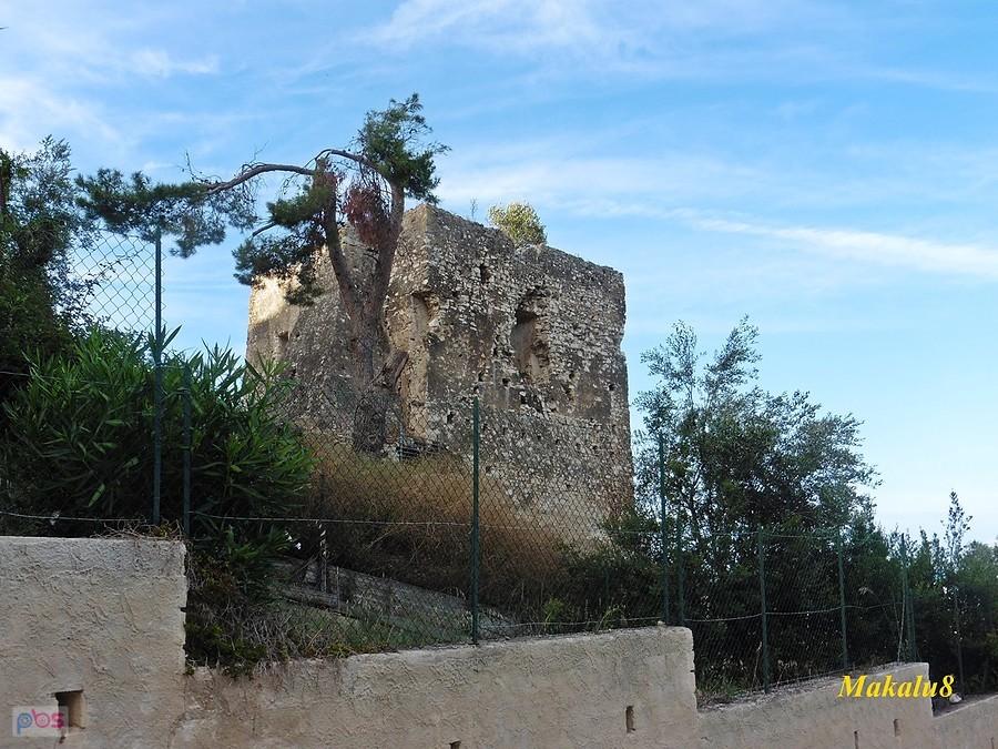 Torre Silvana