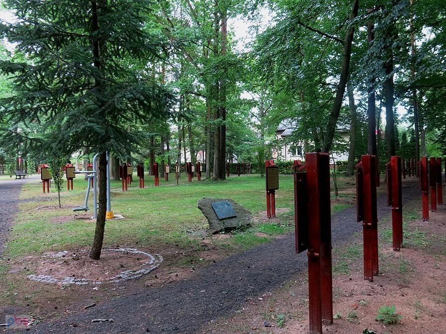W Parku Olimpijczyków - Spała