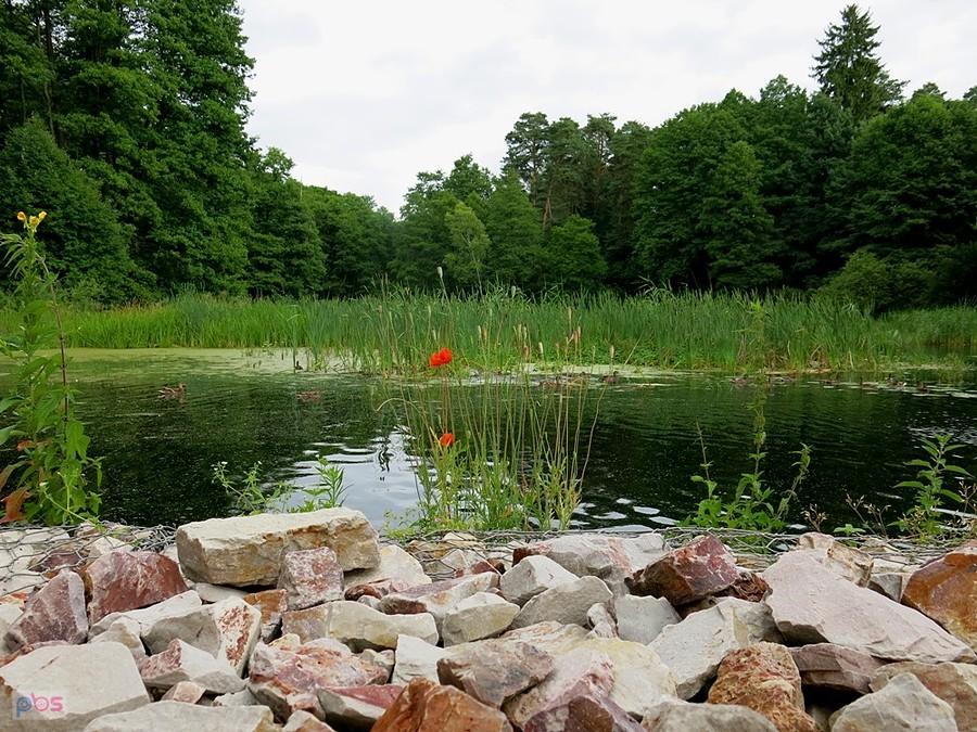 Nad Gacią Spalską