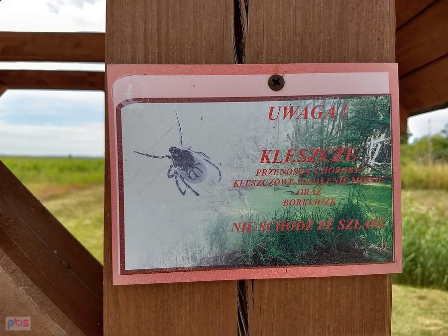 Kleszcze tylko poza szlakiem