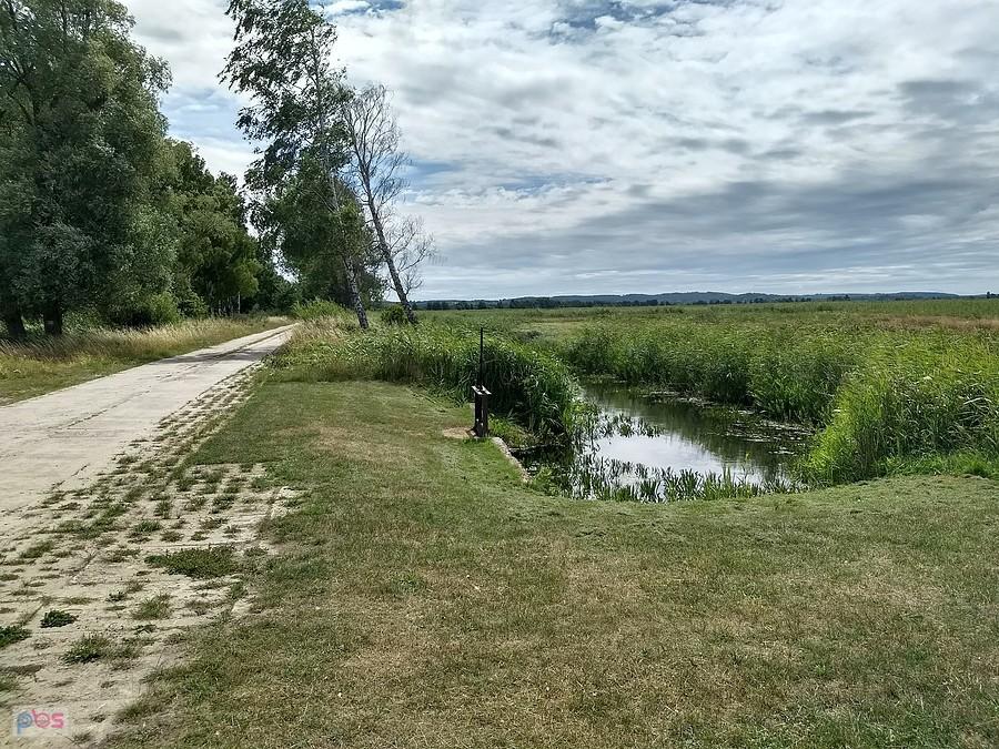 Wracamy, jest ślicznie
