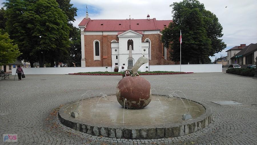 Pomnik jabłka w Tarczynie