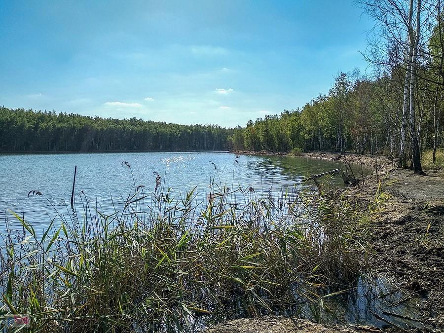 Staw przy hałdzie w Sośnicy