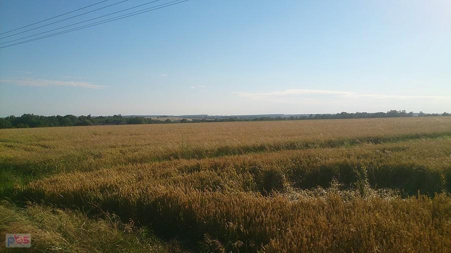 Letni widok na pola