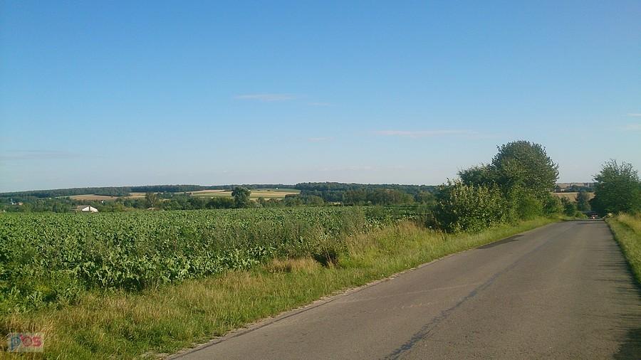 Droga na Wolę Dużą