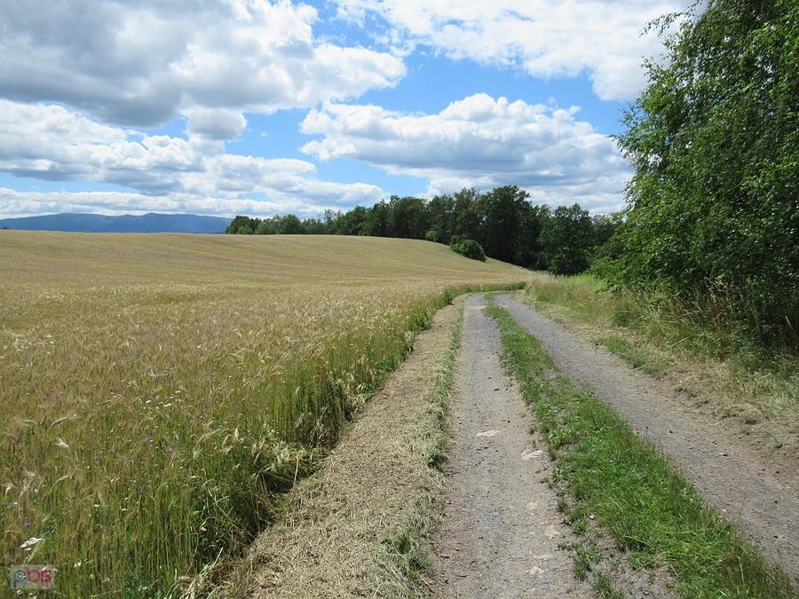 Widok z Trawnicy I