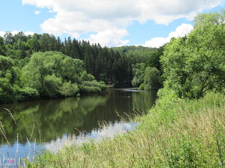 Bóbr pod Siedlęcinem