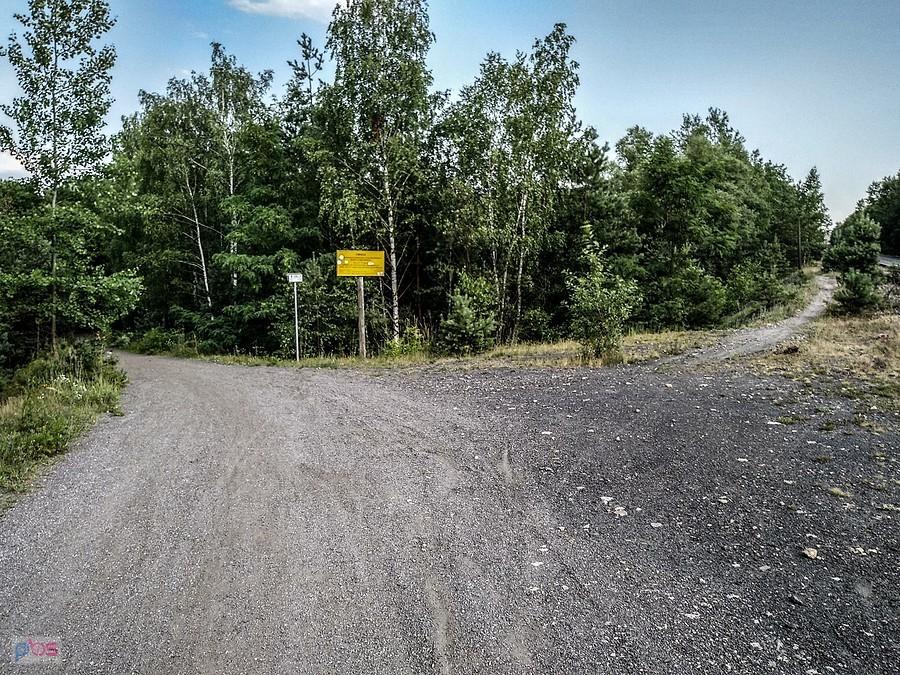 Na rozstaju dróg