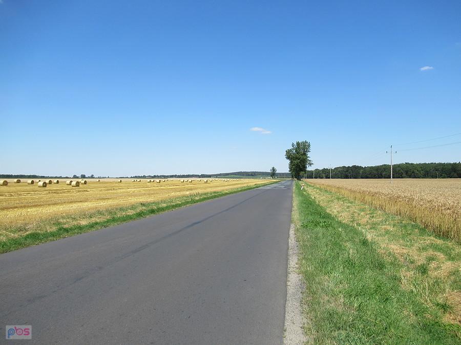 Szosa za Wołowem