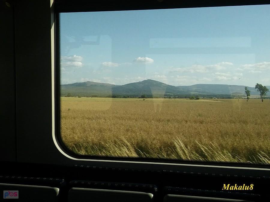Powrót z Nysy