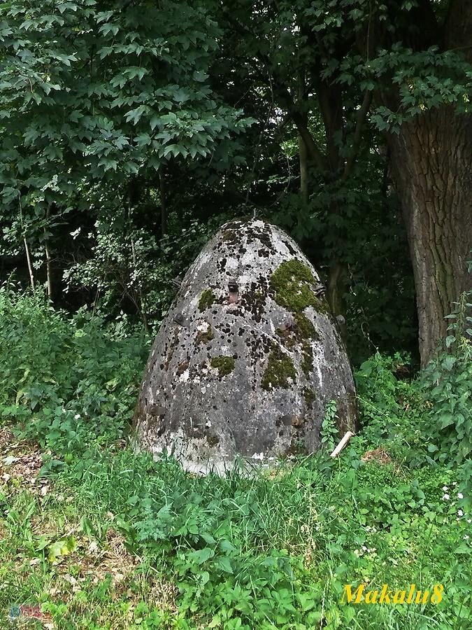 Koło Kędzierzyna wejścia do lasu są strzeżone :-)