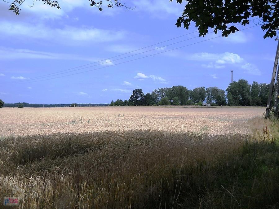 pola z byłą jednostką wojskową w tle