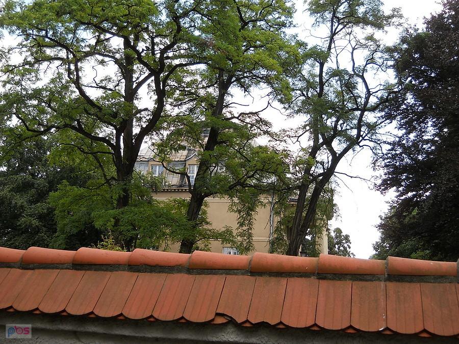 pałac Baildonów