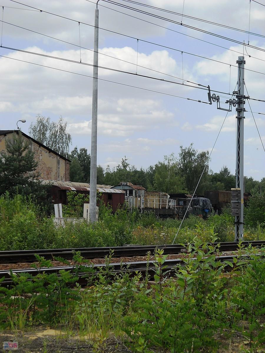 między chaszczami