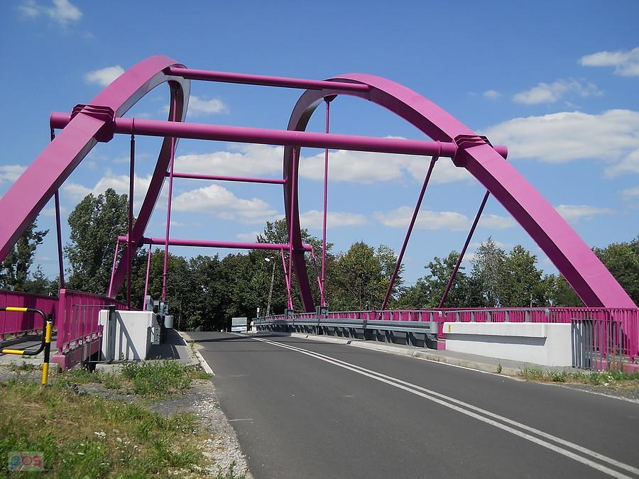 wyróżnia się