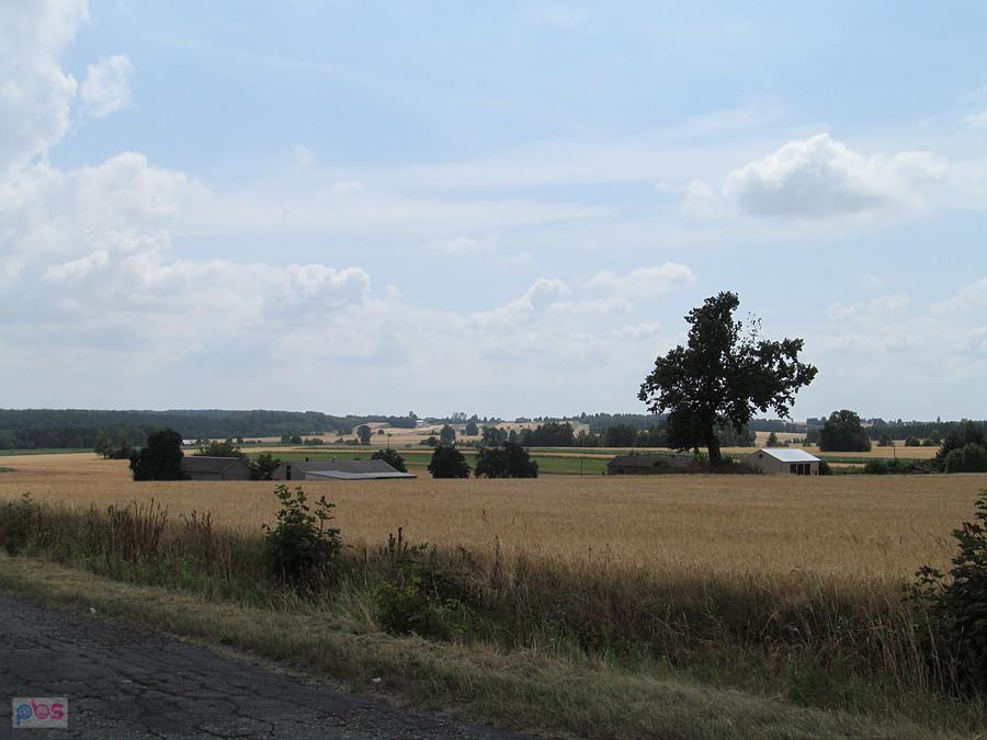 Gdzieś na trasie - PKWŁ