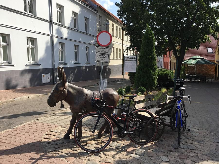 Muchociński osiołek w Międzychodzie