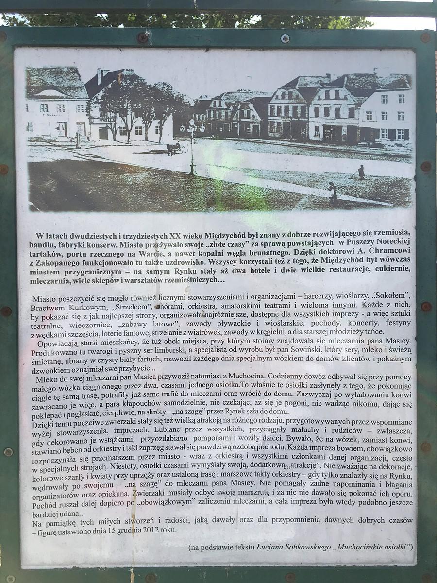 Trochę o Międzychodzie i muchocińskim osiołku
