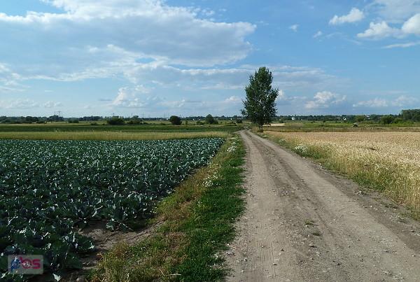 Lubię :)