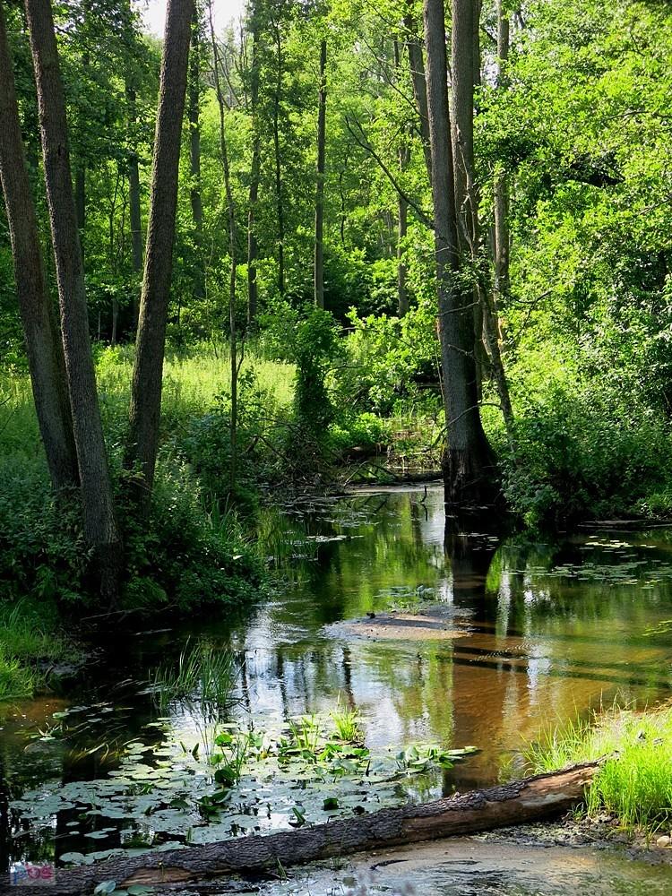 Nad wodą, w cieniu dziś przyjemniej
