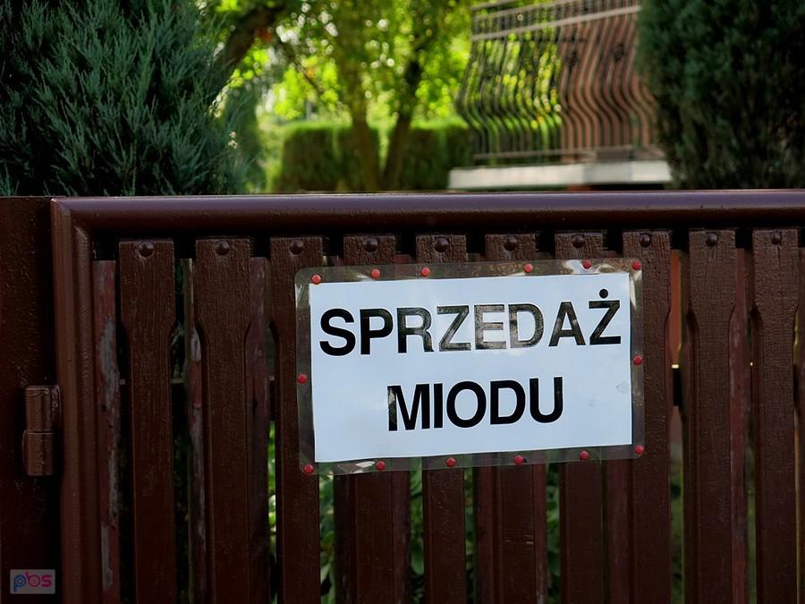 Tutaj kupię miód :)