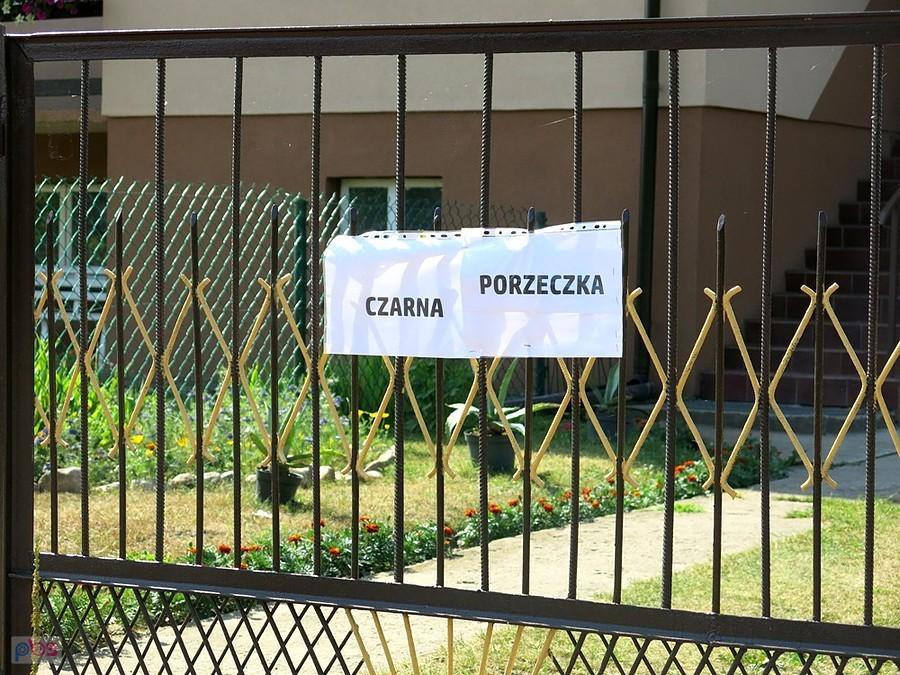 A może czarną porzeczkę?