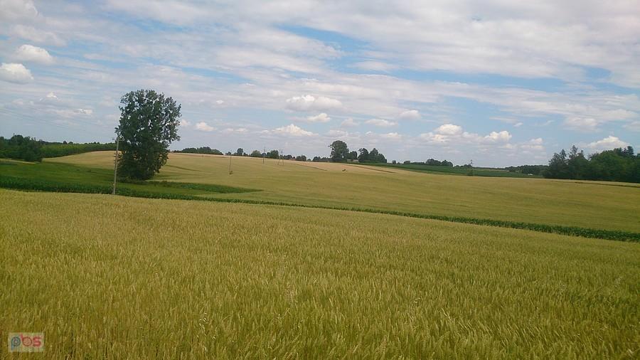 Pagórki koło Gutanowa
