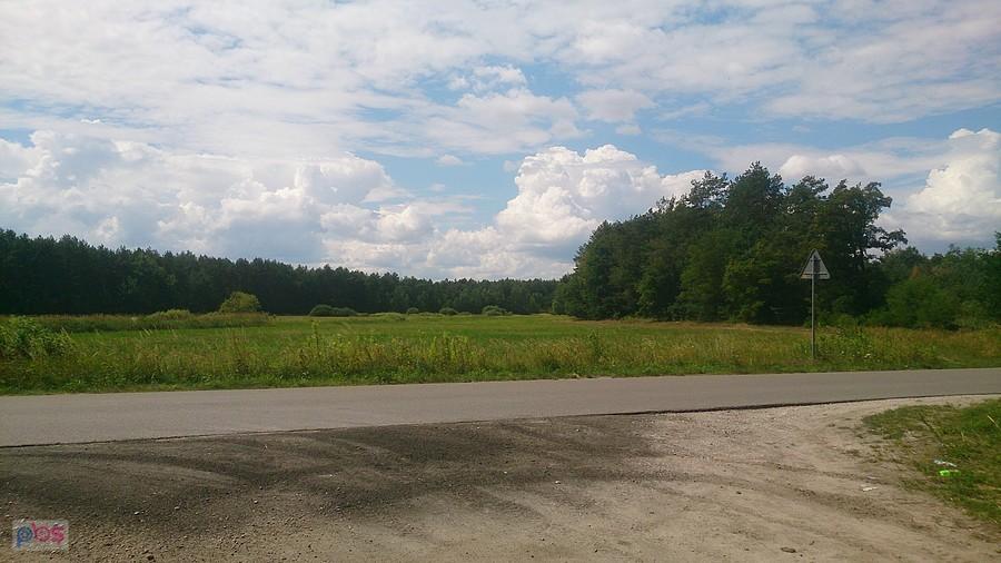 Widok na lasy