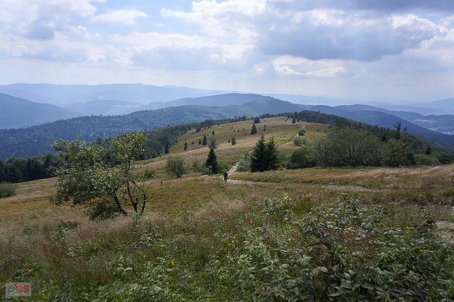 Polana Stumorgowa