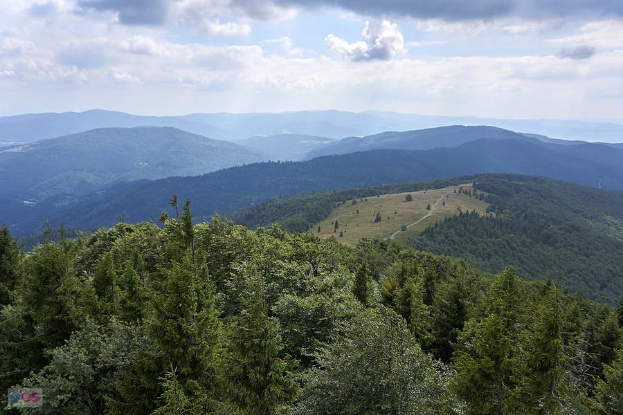 Widok z wieży
