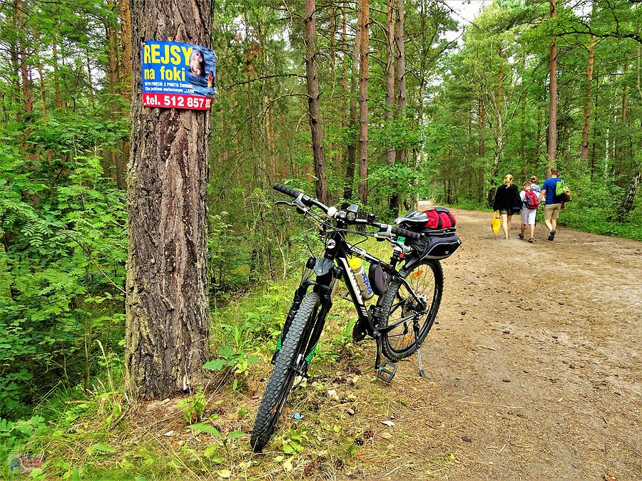 Wycieczka rowerowa - Pętla Żuławska.