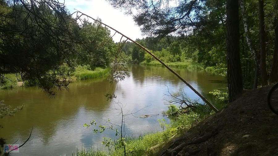 Warta w pełnej krasie