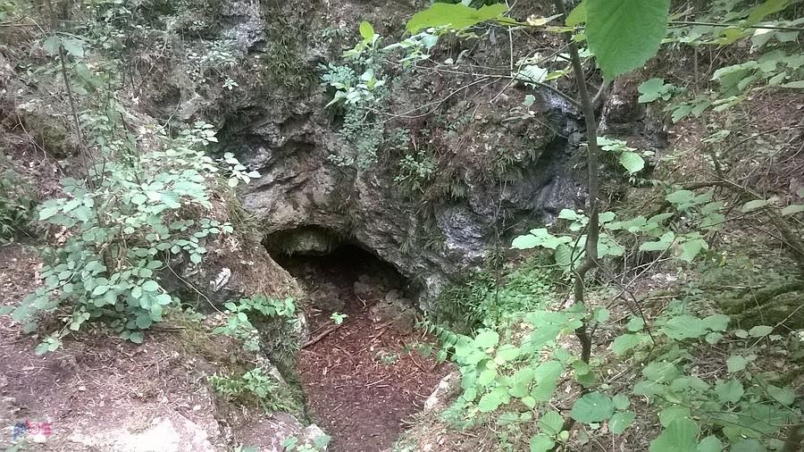 W rezerwacie Węże-jedna z jaskiń