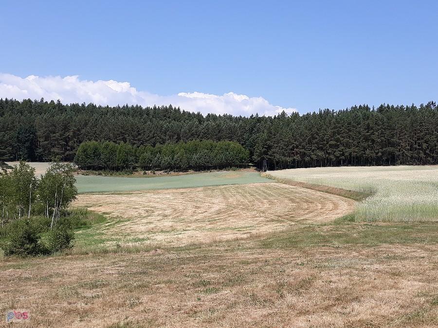 Kaszubskie pola i lasy