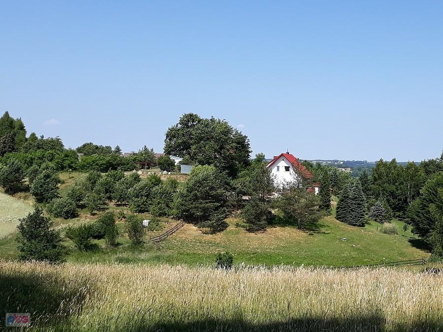 Piękne tereny i świetna pogoda