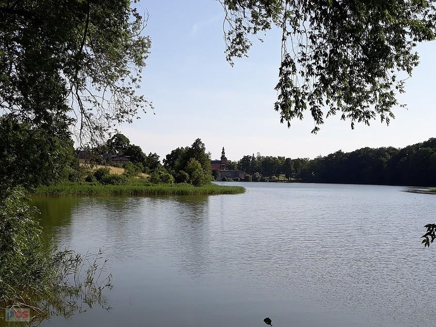 Widok na Kolegiatę w Kartuzach