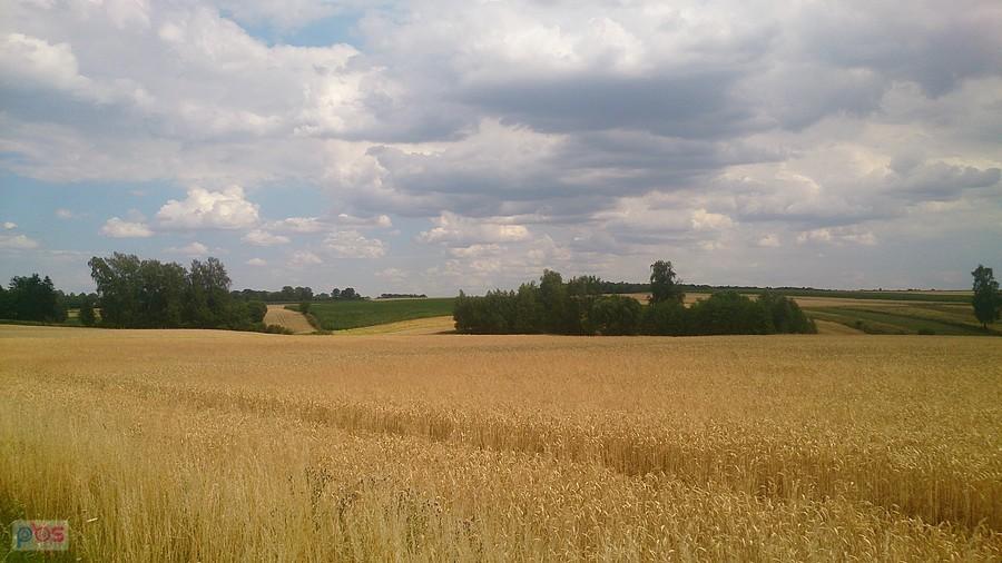 Letni klimat koło Wierciszowa