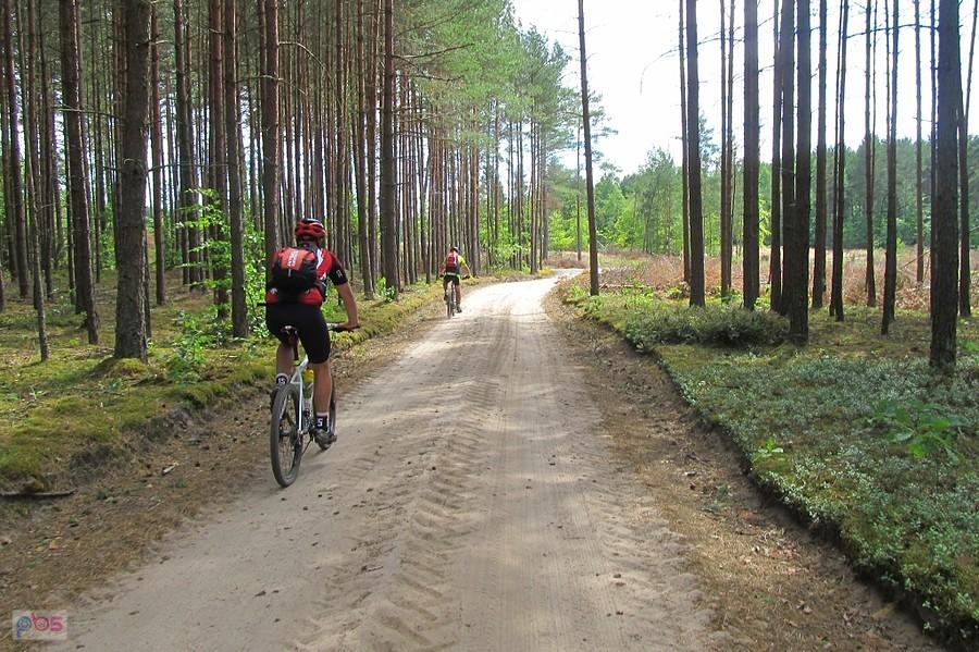 Jadąc w stronę Kamienicy Królewskiej