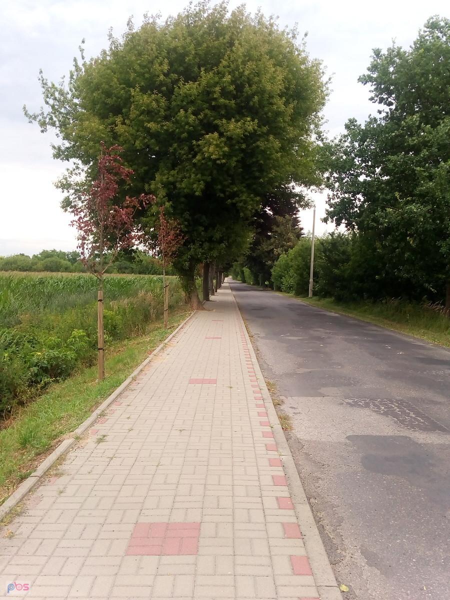 Droga nad Wisłę
