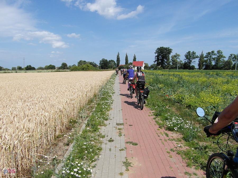 Na szlaku – kierunek Gdańsk